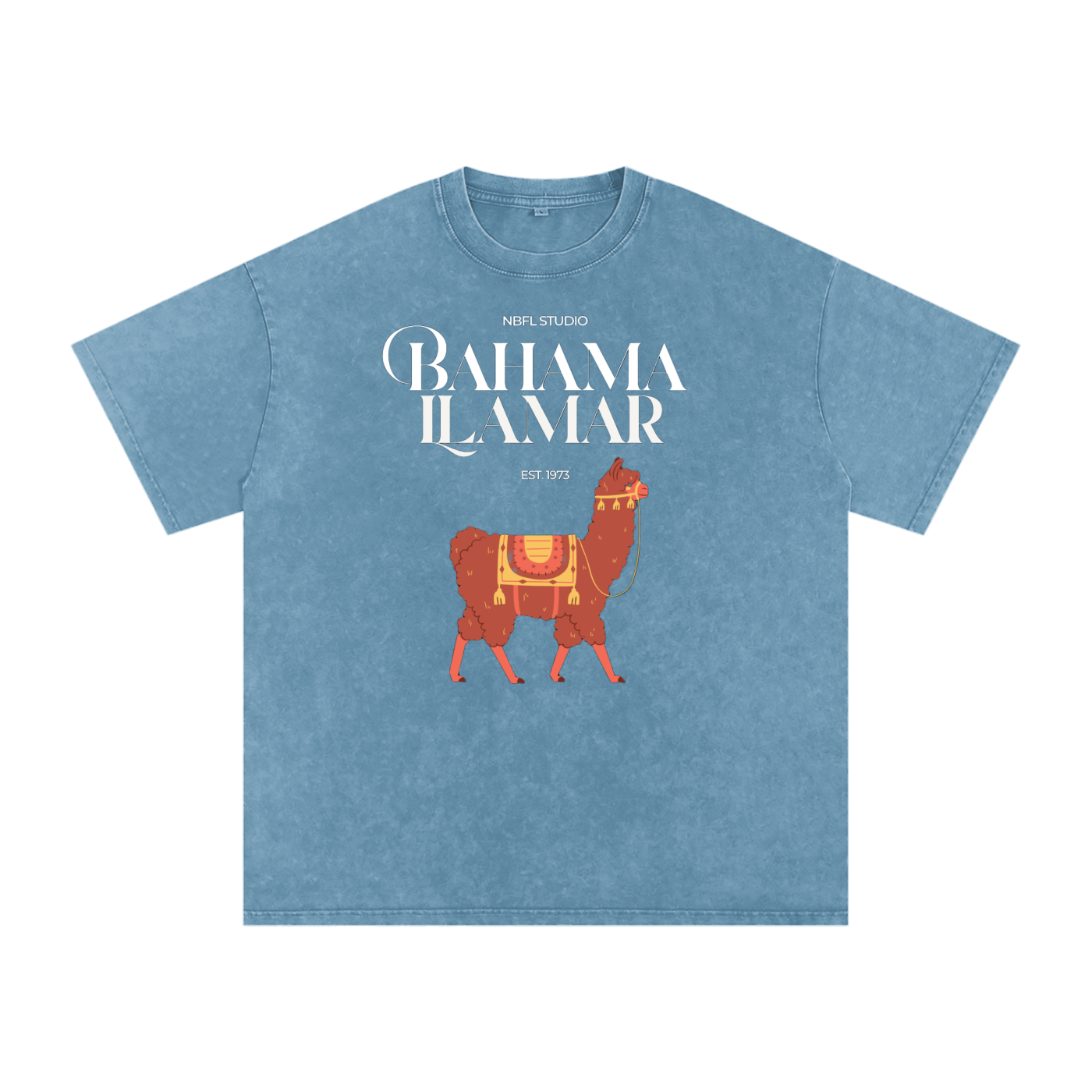 Bahama Llamar Acid Wash Oversize T-Shirt